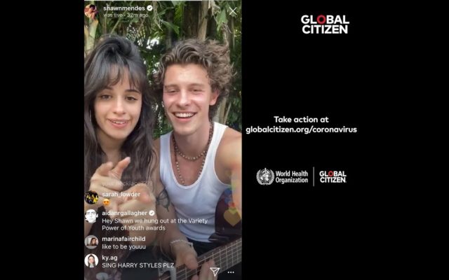 Shawn Mendes and Camila Cabello Perform Live Online