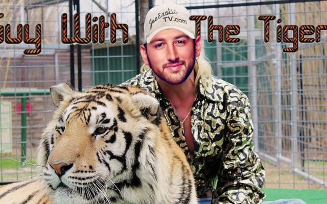 “Guy With The Tigers”