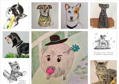 Shelter is Drawing Pet Portraits to Raise Money During Coronavirus