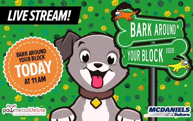Bark Around Your Block!