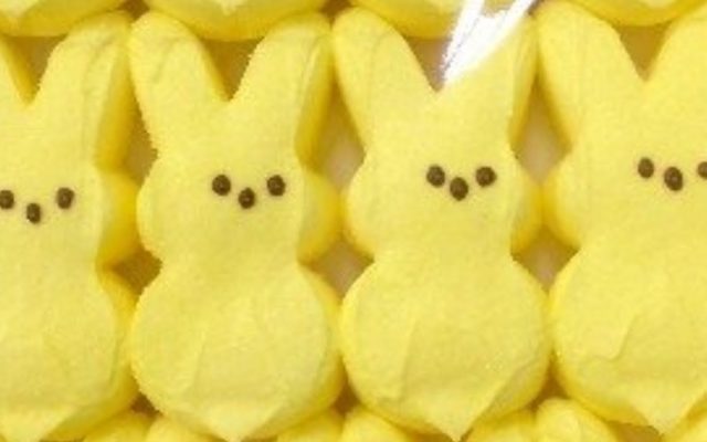 No Peeps for Halloween or Christmas this Year