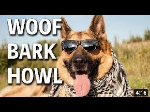 Woof Bark Howl – (Dua Lipa Parody)