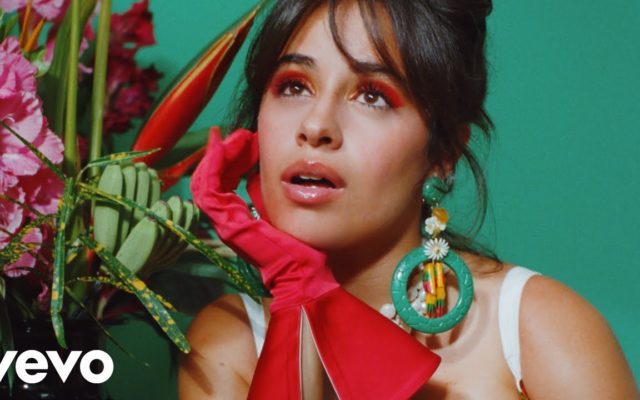 Camila Cabello Knows Shawn Mendes’ TikTok Is Not Ready To Go!