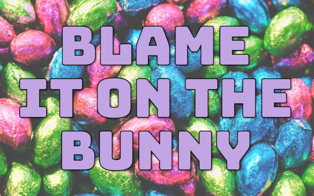 Blame It On The Bunny – (Jessie J Parody)